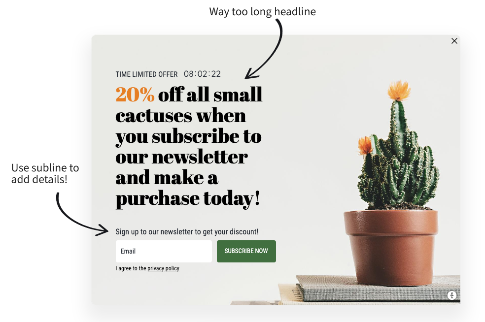 Campaign example - What not to do, a headline that is way too long: "20% off all small cactuses when you subscribe to our newsletter and make a purchase today"