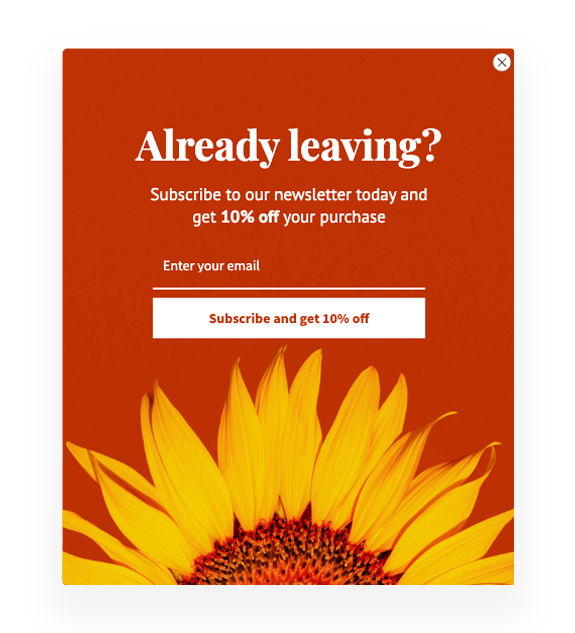 Campaign example - exit intent. Subscribe to the newsletter for a 10% discount, shown when attempting to leave the site.