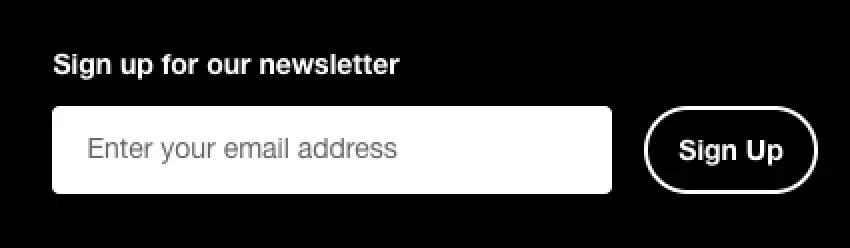 A plain footer sign up form that only says "Sign up for our newsletter"