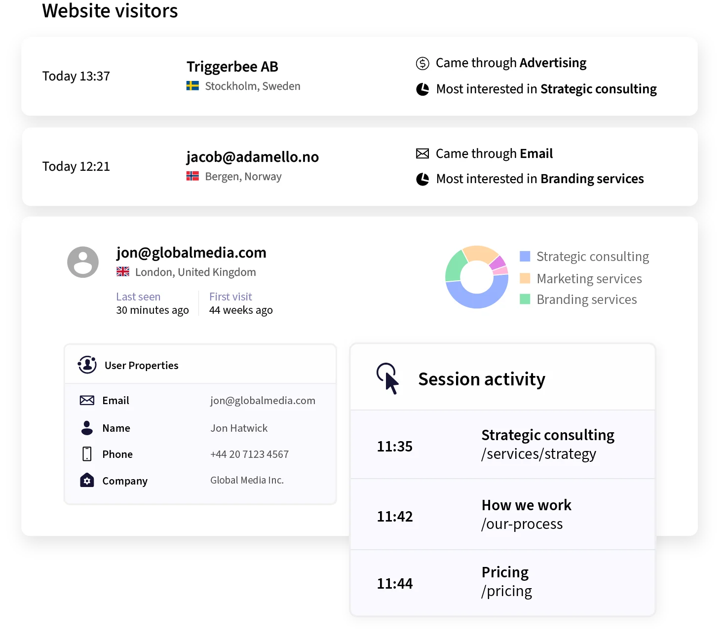 Dashboard view showing visitor tracking data, including company names, email addresses, visit sources, interests (e.g. strategic consulting, branding), and session activity with timestamps and visited pages. Includes user details like name, location, phone number, and a pie chart of interest categories.